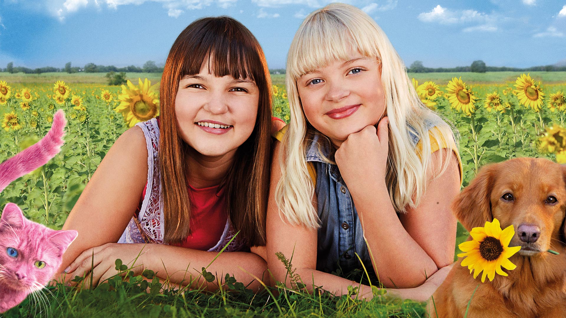 Onneli, Anneli ja Salaperäinen muukalainen on yhä vuoden katsotuin kotimainen elokuva