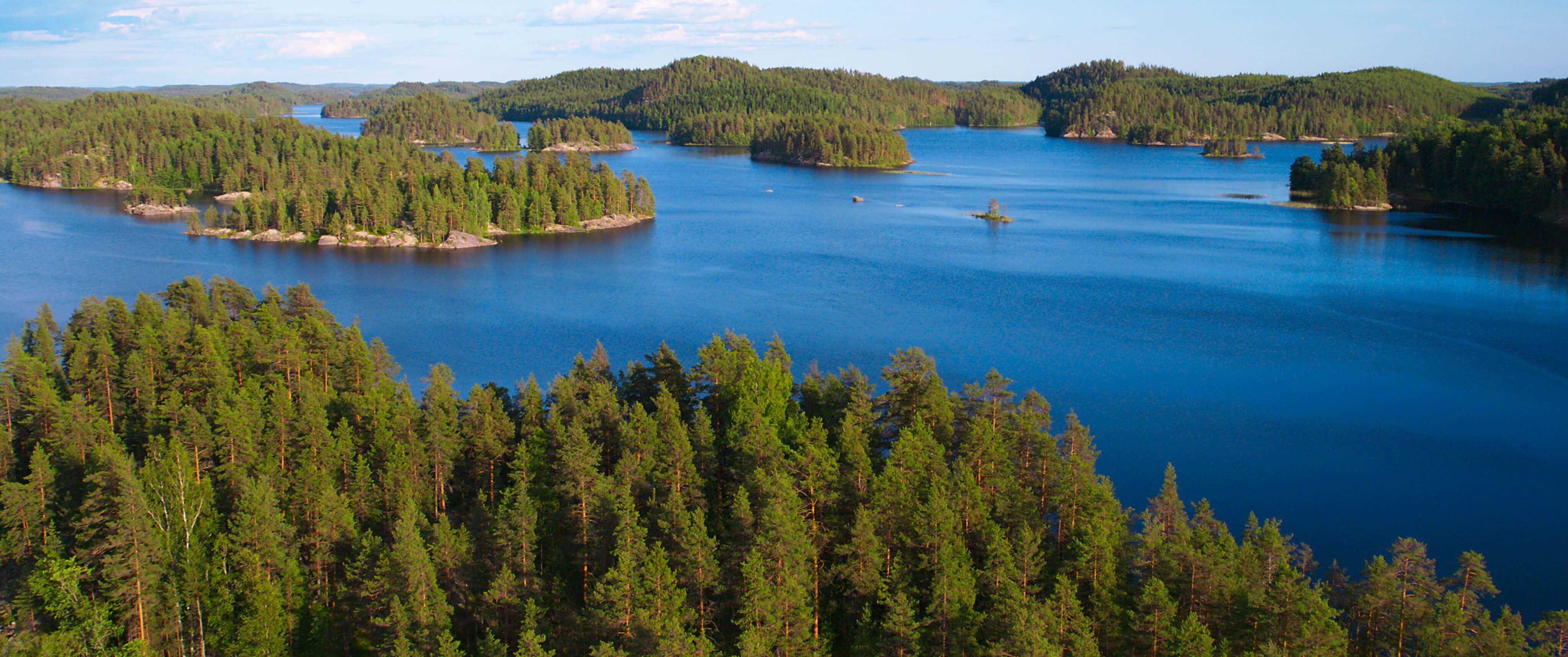 LUONTOSINFONIA ON VUODEN KATSOTUIN DOKUMENTTI