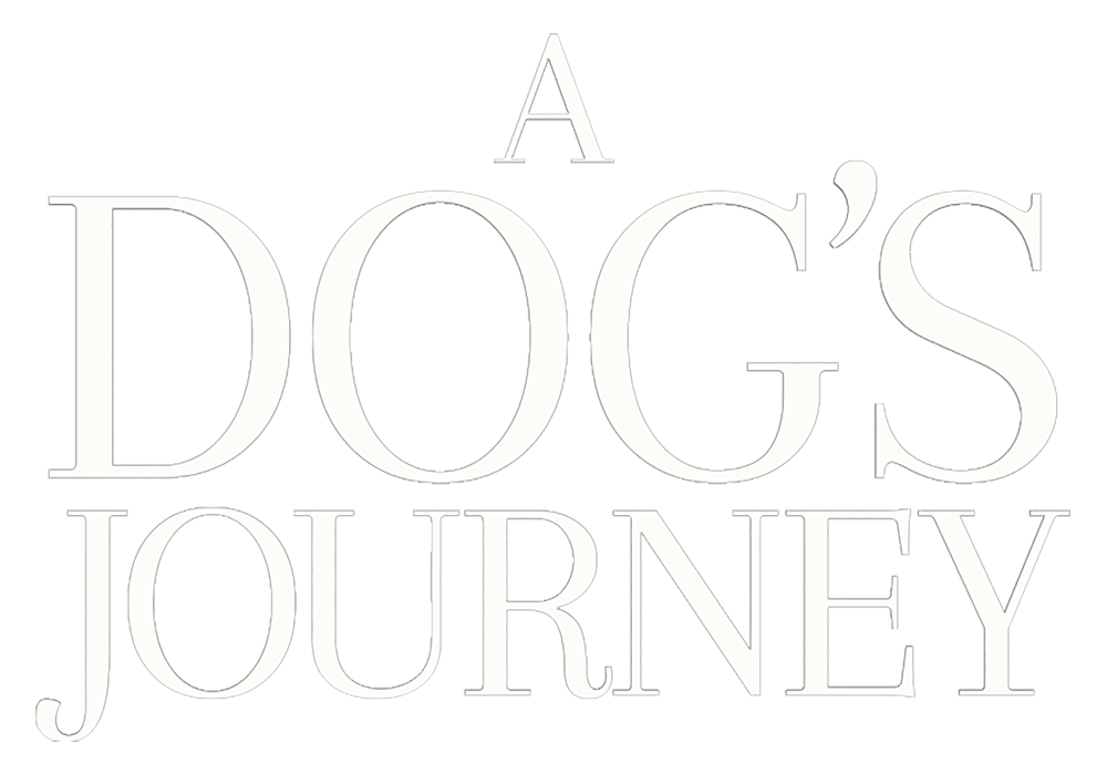 A Dog’s Journey